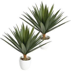 Artificial Dracaena Agave Plant 6FT Tall Faux Agave Tree with 3 Heads in Plastic Pot Indoor Large Fake Yucca Tropical Floor Plants for Home Decor Indoor Outdoor in Kuwait