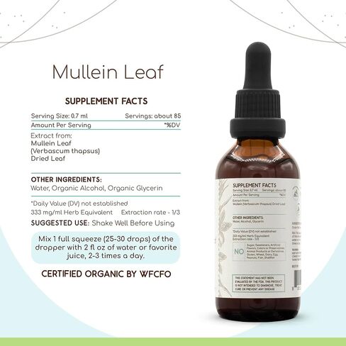 Mullein Leaf B120 Alcohol-Free Herbal Extract Tincture, Super-Concentrated Mullein (Verbascum Densiflorum) Dried Leaf (4 fl oz) in Saudi Arabia