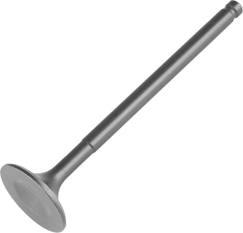 Caltric Intake Valve Compatible with Honda Trx300Ex Trx300X Sportrax 300 2X4 1993 1994 1995 1996-2009 in Saudi Arabia