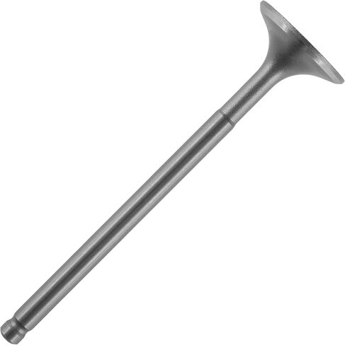Caltric Intake Valve Compatible with Honda Trx300Ex Trx300X Sportrax 300 2X4 1993 1994 1995 1996-2009 in Saudi Arabia