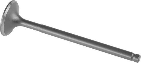 Caltric Intake Valve Compatible with Honda Trx300Ex Trx300X Sportrax 300 2X4 1993 1994 1995 1996-2009 in Saudi Arabia