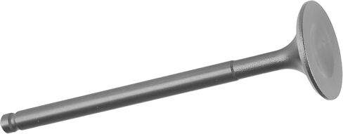 Caltric Intake Valve Compatible with Honda Trx300Ex Trx300X Sportrax 300 2X4 1993 1994 1995 1996-2009 in Saudi Arabia