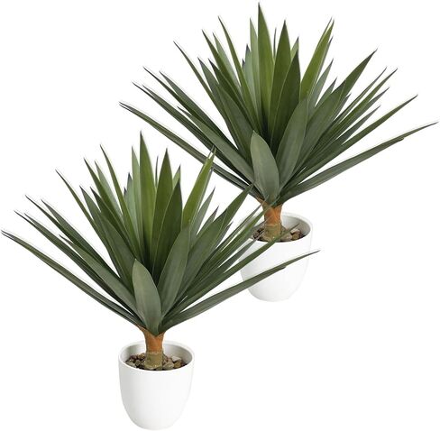 Artificial Dracaena Agave Plant 6FT Tall Faux Agave Tree with 3 Heads in Plastic Pot Indoor Large Fake Yucca Tropical Floor Plants for Home Decor Indoor Outdoor in Kuwait