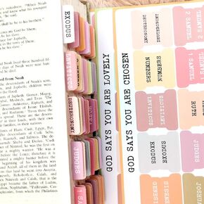 Bible Tabs, Bible Tabs for Women Men, Bible Stickers, Bible Book Tabs, Pink Bible Tabs, Colourful Holy Bible Index Tabs, Bible Tabs for Study Bible, 75 Pcs Bible Index Book Tabs with 1 Pcs Tab Guide