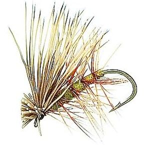 Creative Angler Elk Hair Caddis Olive Fly Fishing Flies. 1 Dozen Flies