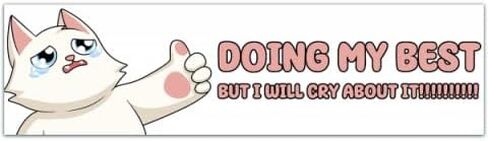 Doing my best! But I'll Cry About it! Vinyl, Holo, Laptop 'Bumper' Sticker [00370] in Saudi Arabia