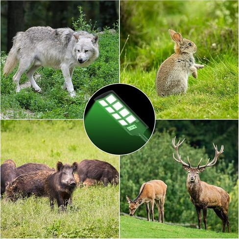 VowelsOne Hog Lights for Night Hunting,Powered Feeder Light(Green)12000LM Solar Lights for Hunting Hogs, Coyote, Varmint, Deer, Motion Activated Feeder in Saudi Arabia