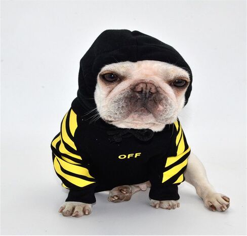 Dog Hoodies Puppy Fleece Sweatshirt Soft Warm Sweater Winter Clothes for XXS-XXL Small Medium Large Dogs Cats (Medium,Gray) in Saudi Arabia