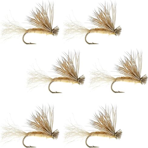 The Fly Fishing Place Tan X Caddis Emerging Caddis الكبار سمك السلمون المرقط الجاف - مجموعة من 6 ذباب مقاس 18 in Saudi Arabia