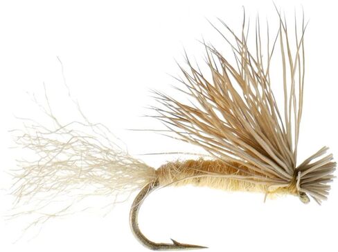 The Fly Fishing Place Tan X Caddis Emerging Caddis الكبار سمك السلمون المرقط الجاف - مجموعة من 6 ذباب مقاس 18 in Saudi Arabia