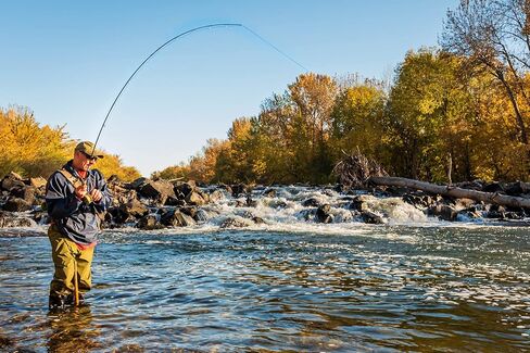 The Fly Fishing Place Tan X Caddis Emerging Caddis الكبار سمك السلمون المرقط الجاف - مجموعة من 6 ذباب مقاس 18 in Saudi Arabia