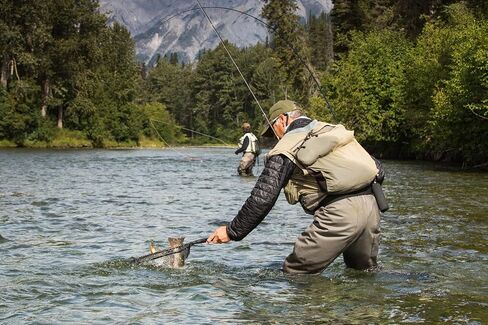 The Fly Fishing Place Tan X Caddis Emerging Caddis الكبار سمك السلمون المرقط الجاف - مجموعة من 6 ذباب مقاس 18 in Saudi Arabia