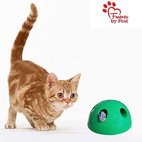 Furever 3 Replacement Cat Toy Attachments to use with The Pop and Play; Includes One Mouse, One Fish and One Feather. Ideal for Your cat, Interactive Way. Best Cat Toys Ever in Saudi Arabia