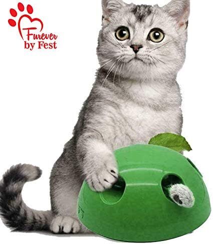 Furever 3 Replacement Cat Toy Attachments to use with The Pop and Play; Includes One Mouse, One Fish and One Feather. Ideal for Your cat, Interactive Way. Best Cat Toys Ever in Saudi Arabia