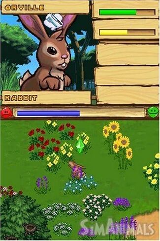 SimAnimals - Nintendo DS (Renewed) in Saudi Arabia