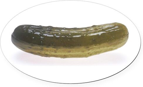 CafePress Pickle Huge Oval Car Magnet, Euro Oval Bumper Magnet in Saudi Arabia