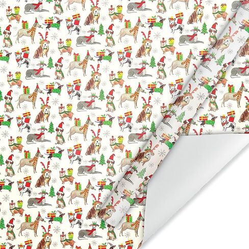 Current Christmas Kitties Rolled Wrapping Paper - Premium Jumbo 23-Inch x 32-Foot Gift Wrap Roll, 61 Square Feet Total in Saudi Arabia