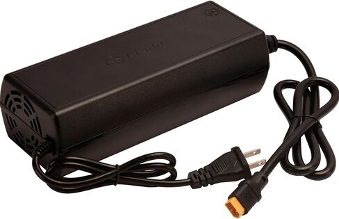 LiFePO4 Battery Charger, 14.6V 25A, for 12V Lithium Iron Phosphate Battery, Fast Charging, Safety Protections, Battery Maintainer in Saudi Arabia
