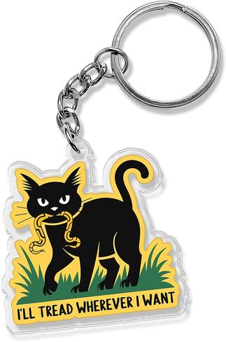 QUINNIAN Funny Quote Keychain 2 Inches Dark Humor Sarcastic Sarcasm Acrylic Material, Key Ring Accessories in Saudi Arabia