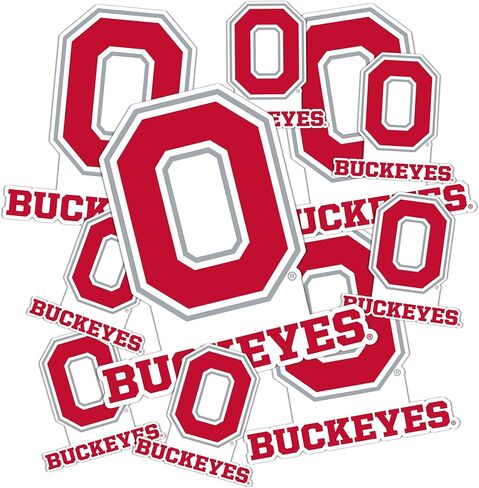 Desert Cactus The Ohio State University OSU Buckeyes Stickers Vinyl Decals Laptop Water Bottle Car Scrapbook 11.38x8.98 Sheet T3 (Type 3-2) in Saudi Arabia