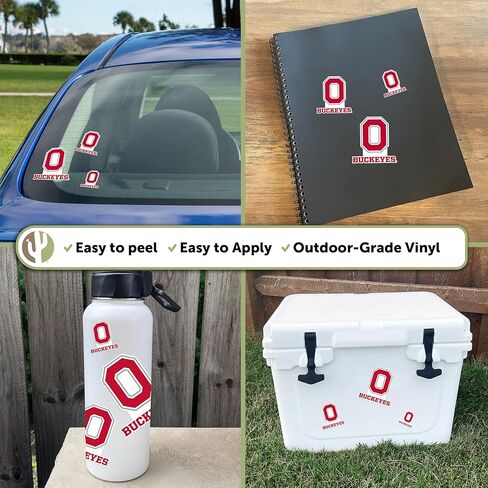 Desert Cactus The Ohio State University OSU Buckeyes Stickers Vinyl Decals Laptop Water Bottle Car Scrapbook 11.38x8.98 Sheet T3 (Type 3-2) in Saudi Arabia