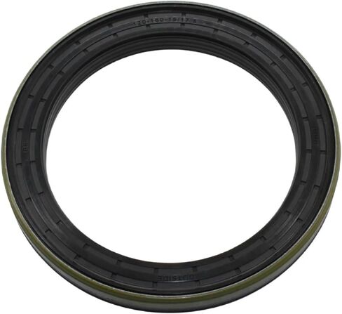 Shaft Oil Seal Fit for 12018572B 82018572 3358960049292 120 * 160 * 15/17.5 in Saudi Arabia