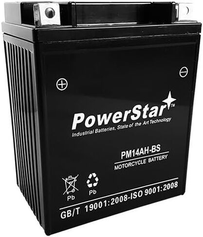 PowerStar YTX14AH-BS ATV Battery for YAMAHA YFM250 Bear Tracker 250CC 99-'04 in Saudi Arabia