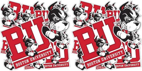 Desert Cactus Boston University Sticker Terriers BU Stickers Vinyl Decals Laptop Water Bottle Car Scrapbook T1 (Type 1-1) in Saudi Arabia