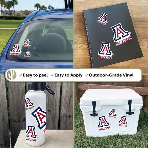 Desert Cactus University of Arizona Sticker UA Wildcats Stickers Vinyl Decals Laptop Water Bottle Car Scrapbook T3 (Type 3-4) in Saudi Arabia
