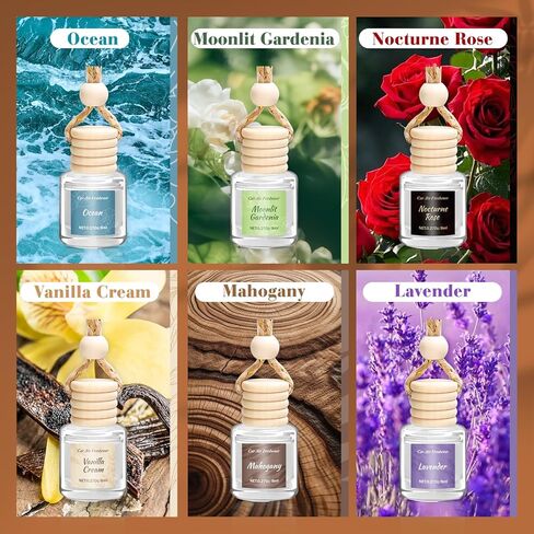 Hanging Car Air Freshener 6 Pack, Long Lasting Air Freshener Car Accessories for Women, Natural Plant Essential Oil Fragrance Diffuser, Cute Automotive Scents Decor Christmas Gift Unisex in Kuwait