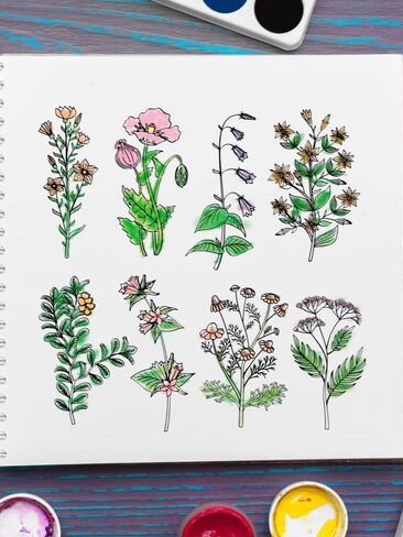 Spring Flowers Leaves Clear Stamps for Card Making and Journaling, Daisies Flowers Silicone Stamps Plants Leaf Rubber Stamps for Scrapbooking DIY Cards Album Crafts Supplies in Saudi Arabia