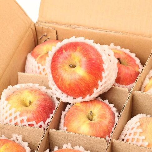 NUOBESTY 1set Moving Box Divider Kits, 13x13in Shipping Cardboard Packing Box Dividers for Glass, Fruit, Dish, Fragile Items Transportation And Packing Fit Boxes about 16x12x12" in Saudi Arabia