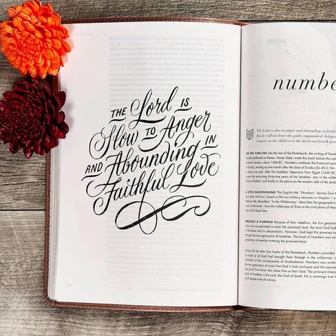 Personalized CSB She Reads Truth Community Study Bible Faux Leather Medium Print Size | Custom with Full Cover Floral & Cross Design and Name | Gift for Christian & Religious Celebrations | Rose Gold in Saudi Arabia