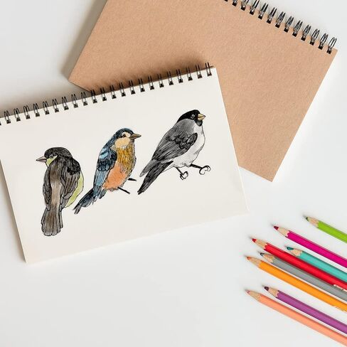 7 PCS Birds Clear Stamps for Card Making and Journaling, Tree Branches Silicone Stamps Birds Rubber Stamps for Scrapbooking DIY Cards Album Crafts Supplies in Saudi Arabia