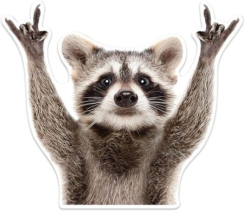 ملصق سيارة Rocking Raccoon، ملصقات ممتصة للنوافذ مقاومة للماء من الفينيل، مقاس 5.1 بوصة × 4.1 بوصة، ملصقات بنمط حيوانات مضحكة، ملحقات تزيين السيارة اللطيفة للكمبيوتر المحمول على الحائط (قطعتان) in Saudi Arabia