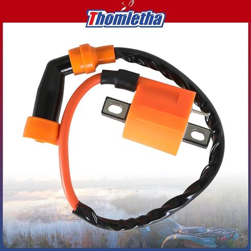 Ignition Coil CDI Box Replacement for Yamaha Bear Tracker 250 YFM250 Timberwolf 250 YFB250 1994-2000 Replacement for 4BD-85540-10-00 in Saudi Arabia
