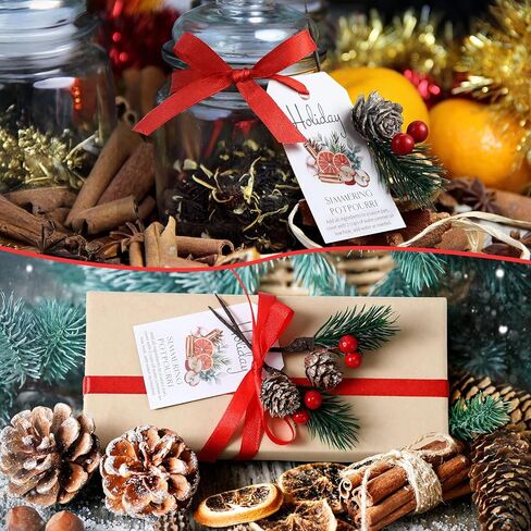 36 Sets Christmas Stovetop Potpourri Tag Include Simmer Instruction Tags and Pine Branches Potpourri Gift Set for Holiday DIY Crafting Kit Simmering Supplies in Kuwait