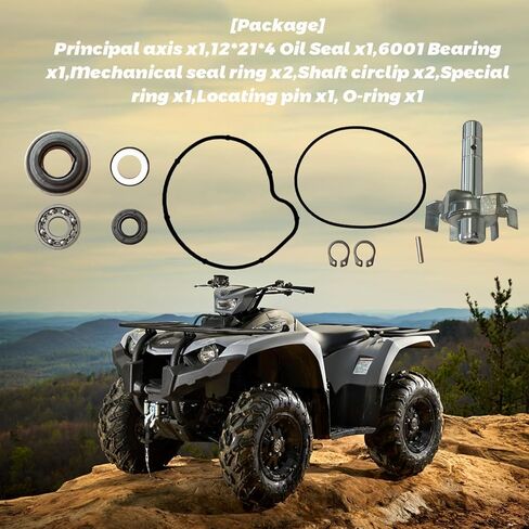 Water Pump Repair Kit With Water Pump Impeller Gasket Bearing Oil Seal Compatible with Yamaha Raptor 660/600R 2001-2005 11H-12438-10 in Saudi Arabia