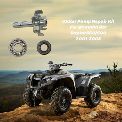 Water Pump Repair Kit With Water Pump Impeller Gasket Bearing Oil Seal Compatible with Yamaha Raptor 660/600R 2001-2005 11H-12438-10 in Saudi Arabia