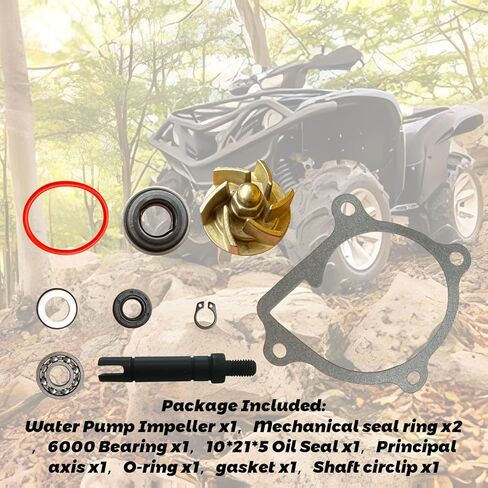 Water Pump Repair Kit With Water Pump Impeller Gasket Bearing Oil Seal Compatible with Yamaha Raptor 660/600R 2001-2005 11H-12438-10 in Saudi Arabia
