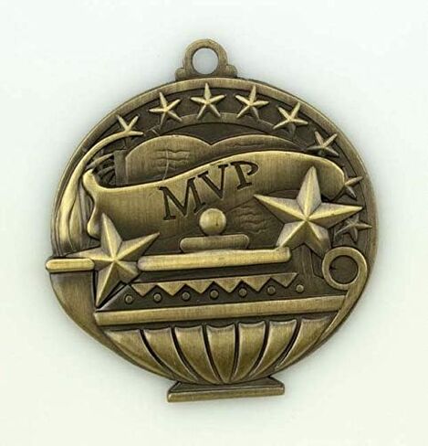 10 Pack Social Studies Gold Medals Trophy Award with Neck Ribbons APMG-778 in Saudi Arabia