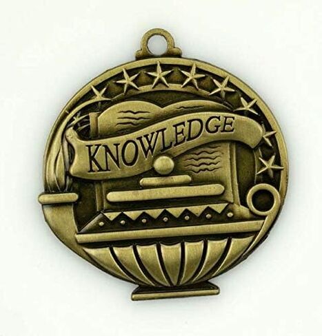 10 Pack Social Studies Gold Medals Trophy Award with Neck Ribbons APMG-778 in Saudi Arabia