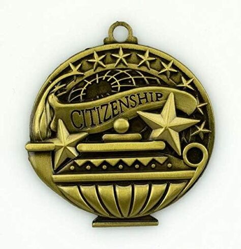10 Pack Social Studies Gold Medals Trophy Award with Neck Ribbons APMG-778 in Saudi Arabia