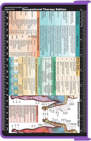 WhiteCoat Clipboard® - Silver Occupational Therapy Edition in Saudi Arabia