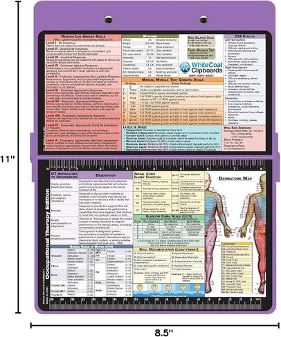 WhiteCoat Clipboard® - Silver Occupational Therapy Edition in Saudi Arabia