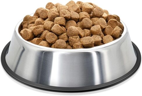 Flexzion Stainless Steel Dog Bowl No Mess Non Spill Dog Water Bowl Rubber Base Dog Bowls for Medium Sized Dog, Food and Water Dish, Pet Food Holder, 22 cm, 2 Pack in Saudi Arabia