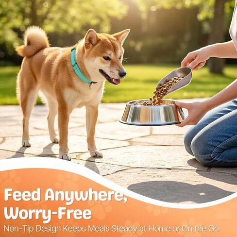 Flexzion Stainless Steel Dog Bowl No Mess Non Spill Dog Water Bowl Rubber Base Dog Bowls for Medium Sized Dog, Food and Water Dish, Pet Food Holder, 22 cm, 2 Pack in Saudi Arabia