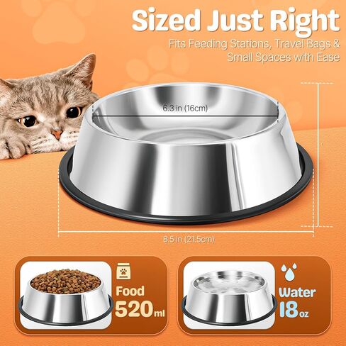 Flexzion Stainless Steel Dog Bowl No Mess Non Spill Dog Water Bowl Rubber Base Dog Bowls for Medium Sized Dog, Food and Water Dish, Pet Food Holder, 22 cm, 2 Pack in Saudi Arabia