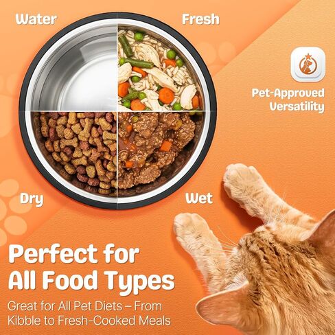 Flexzion Stainless Steel Dog Bowl No Mess Non Spill Dog Water Bowl Rubber Base Dog Bowls for Medium Sized Dog, Food and Water Dish, Pet Food Holder, 22 cm, 2 Pack in Saudi Arabia