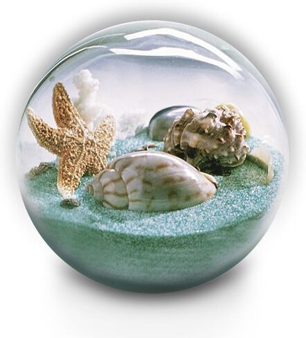 Collectible Sand and Seashell Sandglobe. Good Luck in Saudi Arabia